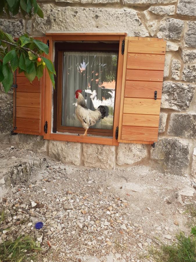 Patakun Holiday Home For 5, With Heated Pool Lecevica Экстерьер фото